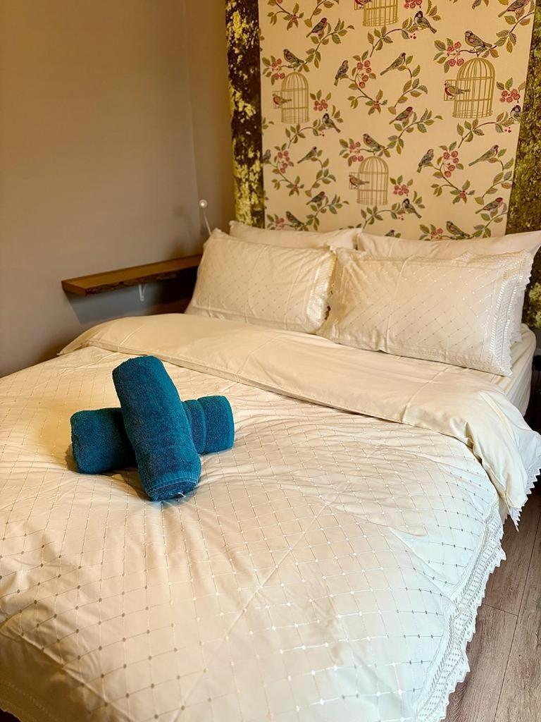 Summerhill Guest House 贝图瑟科伊德 外观 照片